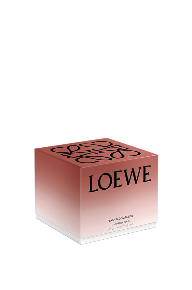 Buy online 'Peach Bloom Bunny' Scented Candle | LOEWE Perfumes